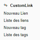 CustomLink Config5.png